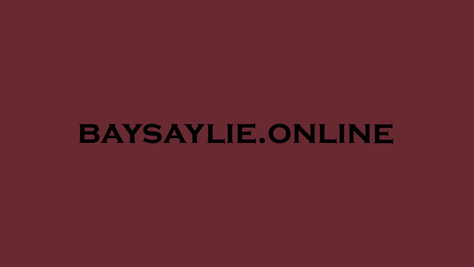 Кадр из видео-визитки baysaylie